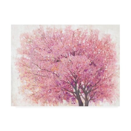 Trademark Fine Art Tim OToole 'Pink Cherry Blossom Tree II' Canvas Art, 35x47 WAG15251-C3547GG